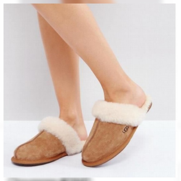 ugg scuffette ii chestnut